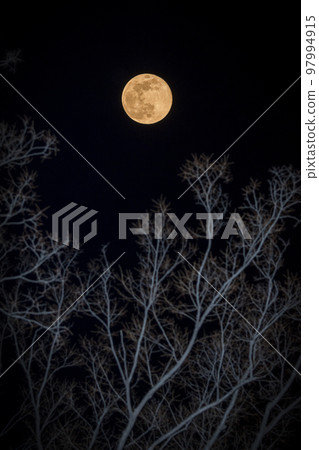Moon Moon 97994915