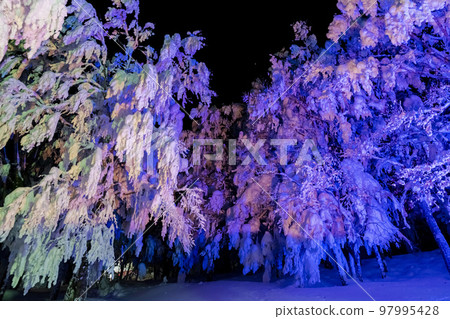 山形縣山形縣藏王的燈光霜覆蓋的樹木 97995428