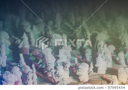 山形縣山形縣藏王的燈光霜覆蓋的樹木 97995434