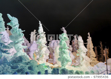 Illuminated frost-covered trees of Zao, Yamagata Prefecture, Yamagata Prefecture 97995436