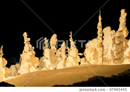 Illuminated frost-covered trees of Zao, Yamagata Prefecture, Yamagata Prefecture Illuminated frost-covered trees of Zao, Yamagata Prefecture, Yamagata Prefecture 97995445