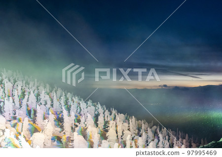山形縣山形縣藏王的燈光霜覆蓋的樹木 97995469