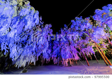 山形縣山形縣藏王的燈光霜覆蓋的樹木 97995500