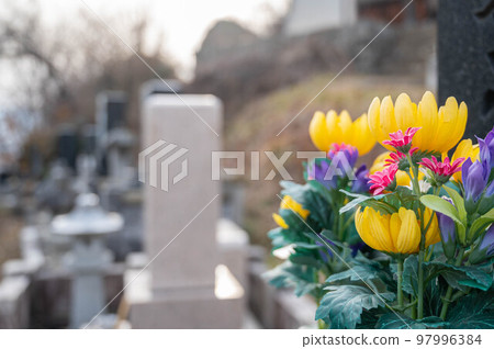 buddha flower in cemetery 97996384