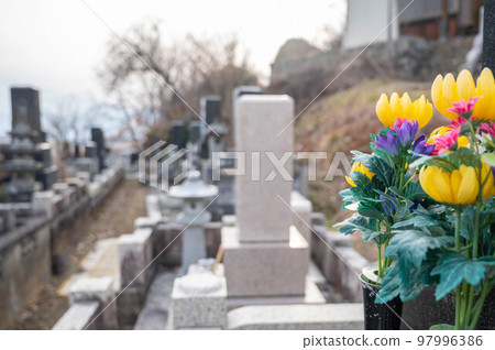 buddha flower in cemetery 97996386