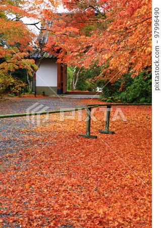 Autumn leaves of Jousoji Temple in Kyoto Autumn leaves of Jousoji Temple in Kyoto 97996490