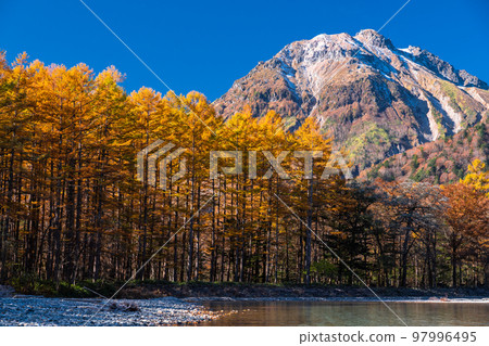 《Nagano Prefecture》 Autumn Kamikochi, the peak of autumn colors 97996495