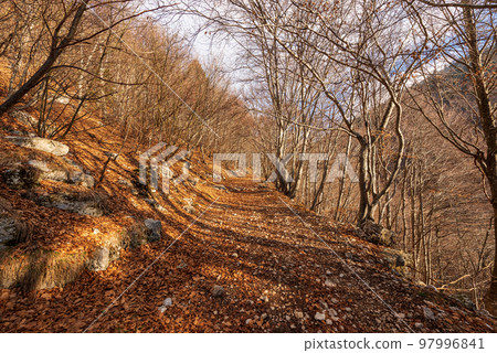 Footpath in Winter in Italian Alps - Corno d'Aquilio in Lessinia Plateau 97996841