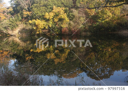 On a sunny day with no wind, the water surface of the mountain pond becomes a mirror surface. 97997316