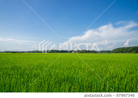 鄉村景觀 鄉村景觀 97997346