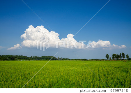 Rural landscape Rural landscape 97997348