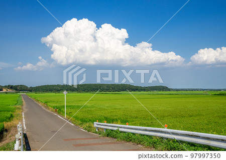 Rural landscape Rural landscape 97997350