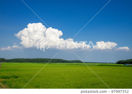 鄉村景觀 鄉村景觀 97997352