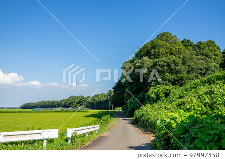 鄉村景觀 97997358