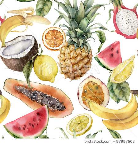 Watercolor tropical fruits seamless pattern of pineapple, banana, watermelon, coconut and mangosteen. Hand painted food isolated on white background. Floral illustration for design, print, background. 97997608