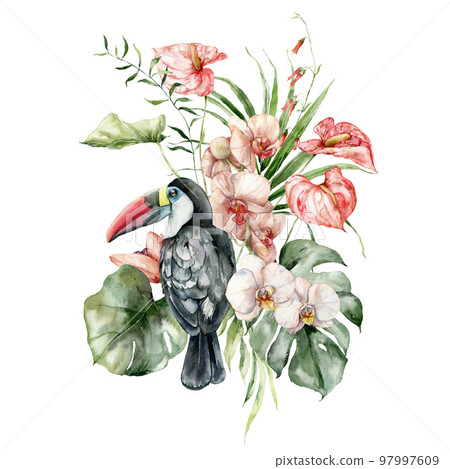 Watercolor bouquet of tropical flowers and toucan. Hand drawn card of bird, anthurium, orchid and monstera. Floral illustration isolated on white background for design, print or background. 97997609