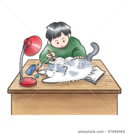 為家庭作業歡呼的貓 97998468