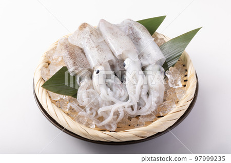 Hiika from Miyagi Prefecture Hiika from Miyagi Prefecture 97999235