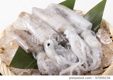 Hiika from Miyagi Prefecture 97999236