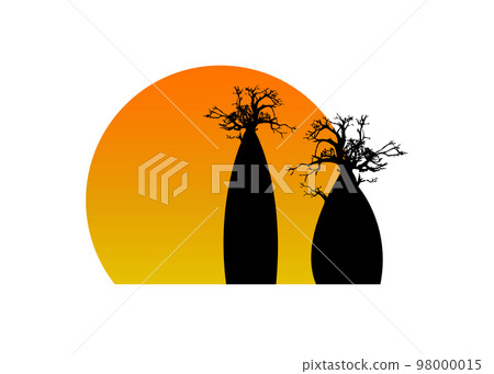 Boab or Baobab Tree set vector trees silhouette logo concept icon, illustration sign isolated on sunset background Boab or Baobab Tree set vector trees silhouette logo concept icon, illustration sign isolated on sunset background 98000015
