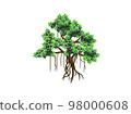 banyan tree hand drawn vector 98000608