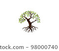 olive tree logo design 98000740