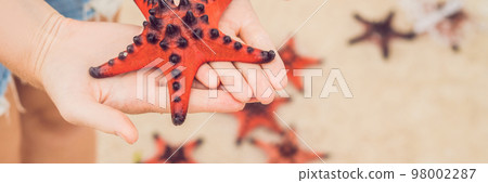 Red starfish in the hands, next to the sea BANNER, long format Red starfish in the hands, next to the sea BANNER, long format 98002287
