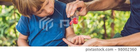 Father and son using wash hand sanitizer gel in the park before a snack BANNER, long format Father and son using wash hand sanitizer gel in the park before a snack BANNER, long format 98002360