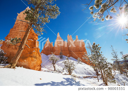 Winter Bryce 98003331