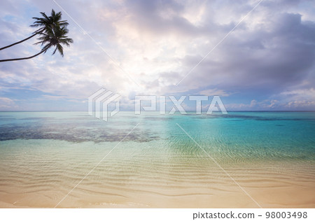 Tropical beach 98003498