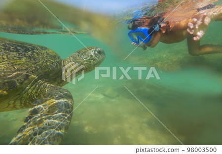 Turtle and boy 98003500