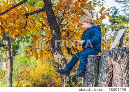 Young woman feeding an African Sacred ibis 98003996
