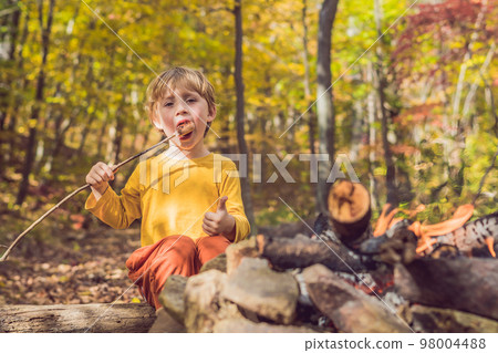 Young woman feeding an African Sacred ibis 98004488