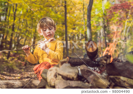 Young woman feeding an African Sacred ibis 98004490