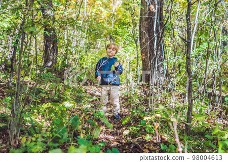 Young woman feeding an African Sacred ibis 98004613