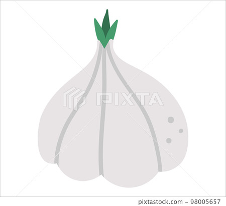 Vector garlic on white background. Healthy food icon. Vegetable illustration. Flat hand drawn organic nutrition clipart. 98005657