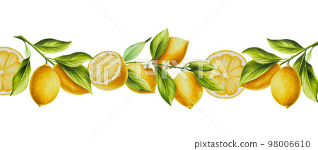 Watercolor border with fresh ripe lemon with bright green leaves and flowers. Hand drawn cut citrus slices painting on white background. For designers, postcards, party Invitations, wrapping paper Watercolor border with fresh ripe lemon with bright green leaves and flowers. Hand drawn cut citrus slices painting on white background. For designers, postcards, party Invitations, wrapping paper 98006610