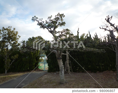 Chita City Asahi Park Chita City Asahi Park 98006807