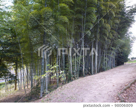 知多市旭公園 98006809