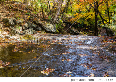 Autumn leaves of Mazeno Valley (Mazeno Takinoue) [Minamioguni Town, Aso County, Kumamoto Prefecture] 98007336