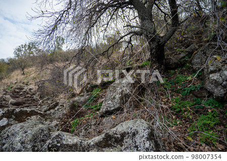 Closeup of large rocks or boulders near the mountains. Large multicolored granites. Details of big grey stone structures with orange particles shining in the sunlight. Closeup of large rocks or boulders near the mountains. Large multicolored granites. Details of big grey stone structures with orange particles shining in the sunlight. 98007354