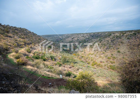 The Yehudiya Forest Reserve is a nature reserve in the central Golan Heights. The Yehudiya Forest Reserve is a nature reserve in the central Golan Heights. 98007355