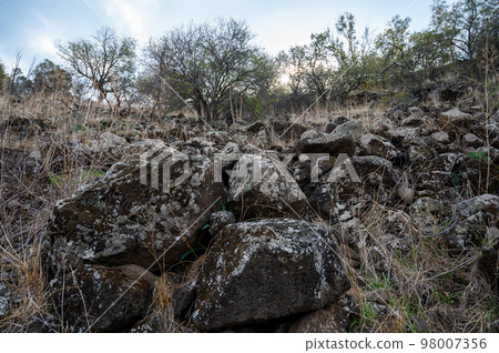Closeup of large rocks or boulders near the mountains. Large multicolored granites. Details of big grey stone structures with orange particles shining in the sunlight. Closeup of large rocks or boulders near the mountains. Large multicolored granites. Details of big grey stone structures with orange particles shining in the sunlight. 98007356