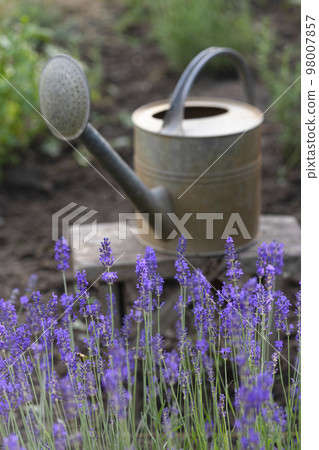 garden and horticulture 98007857