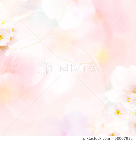 蒼白而美麗的櫻花背景 98007953