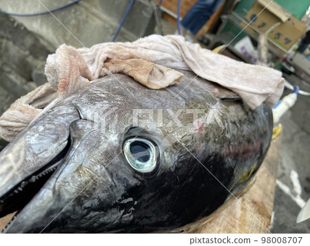 Kihidamagro 98008707