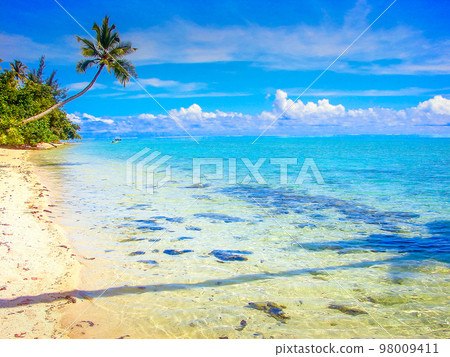 Huahine Tropical paradise, Idyllic turquoise beach in French Polynesia, Tahiti 98009411