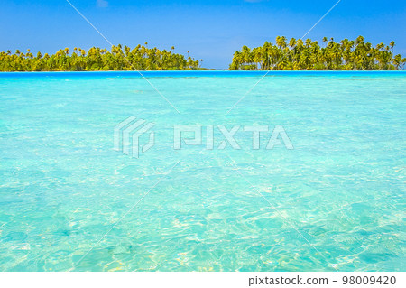 Bora Bora Tropical paradise, Idyllic turquoise beach in French Polynesia, Tahiti Bora Bora Tropical paradise, Idyllic turquoise beach in French Polynesia, Tahiti 98009420