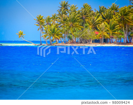 Bora Bora Tropical paradise, Idyllic turquoise beach in French Polynesia, Tahiti 98009424