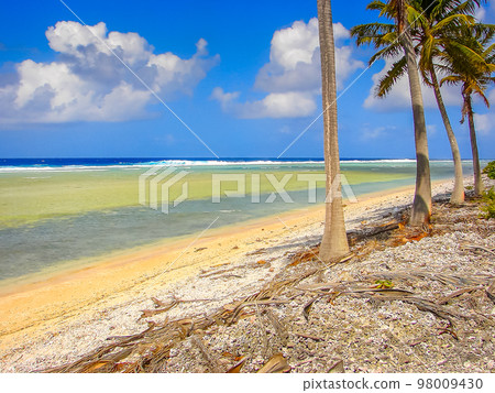 Bora Bora Tropical paradise, Idyllic turquoise beach in French Polynesia, Tahiti 98009430